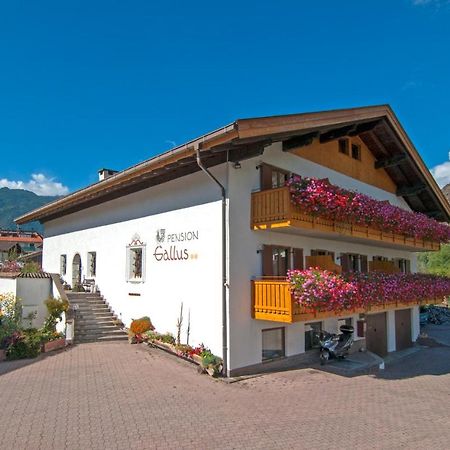Pension Gallus Latsch Buitenkant foto