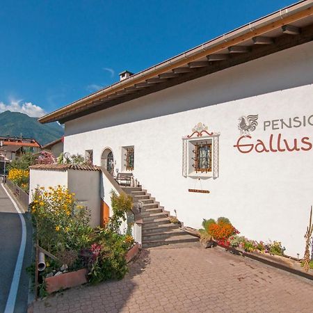 Pension Gallus Latsch Buitenkant foto